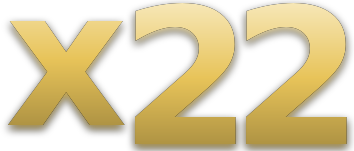 x22 logo